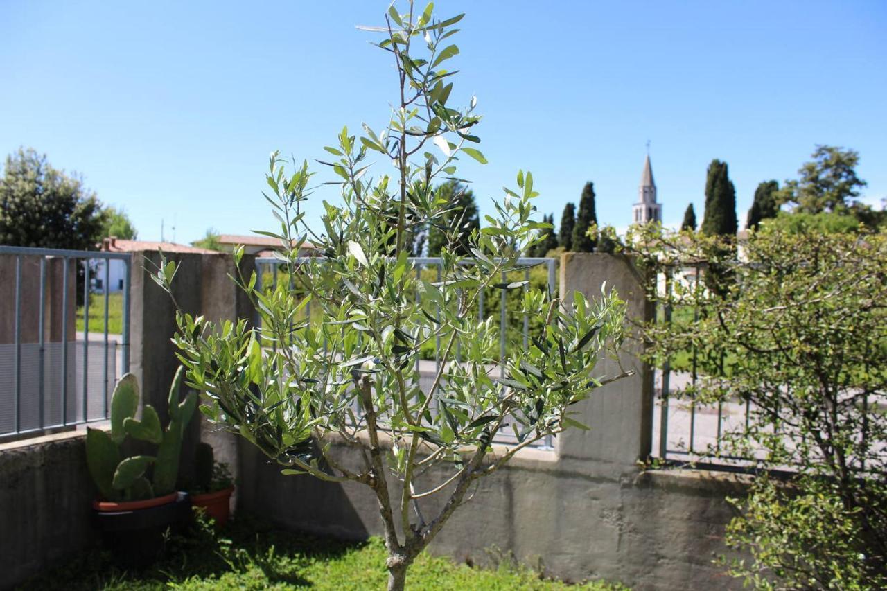 Villa Madi San Lorenzo  Exteriör bild