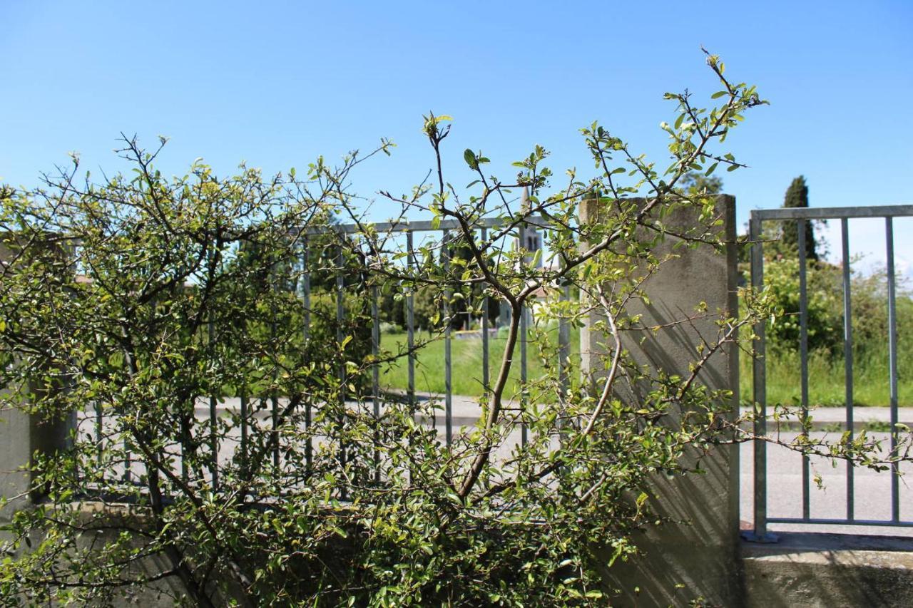 Villa Madi San Lorenzo  Exteriör bild